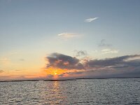 IMG 2685