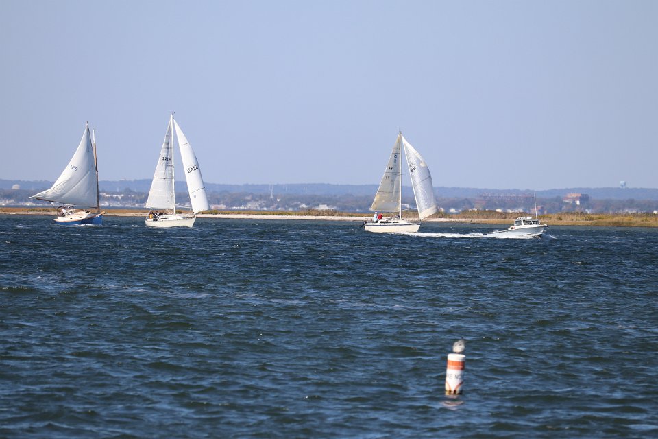 IMG 3764