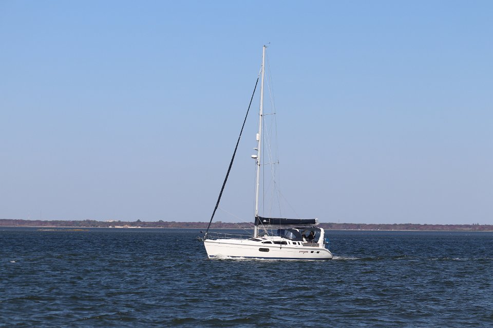 IMG 3767