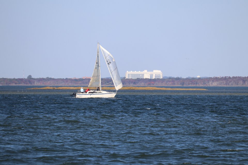 IMG 3768