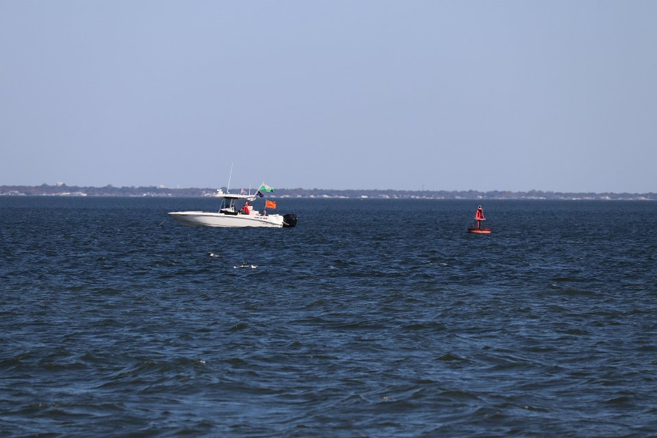 IMG 3769