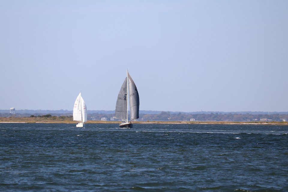 IMG 3774