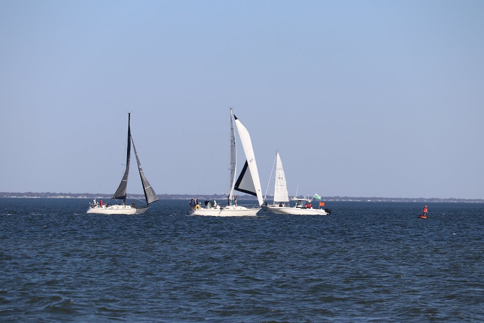 IMG 3779