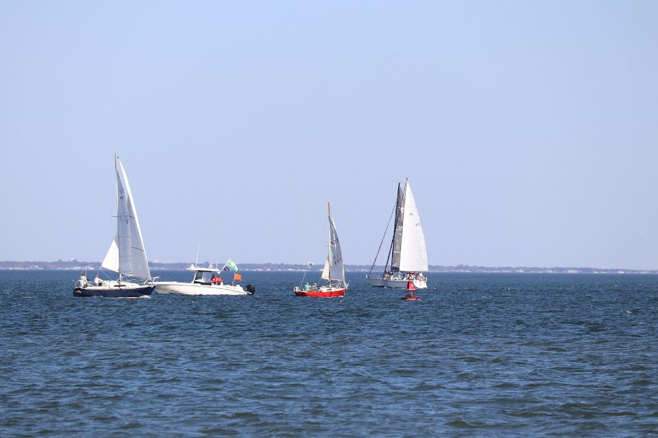 IMG 3786