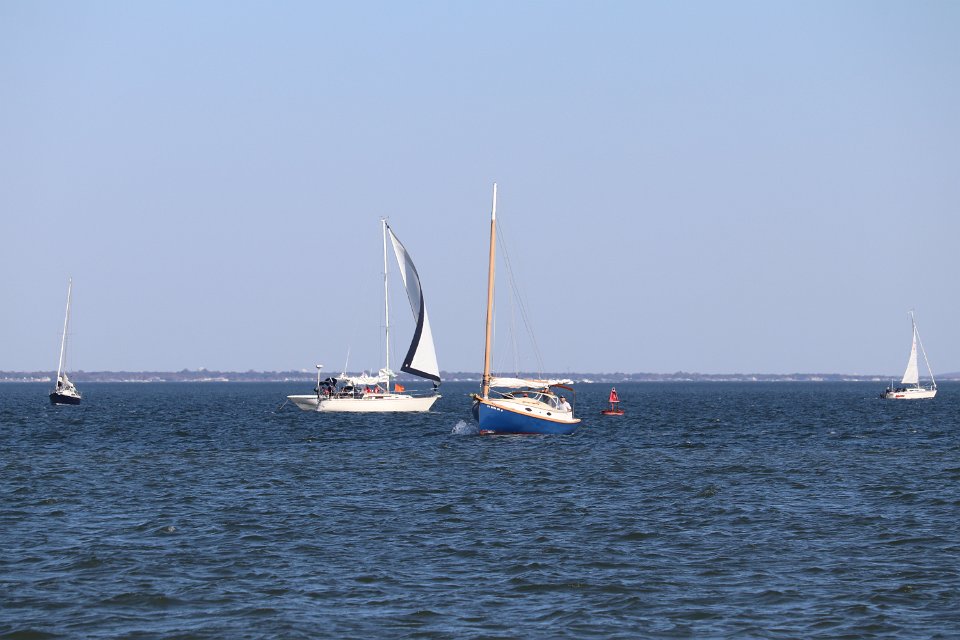 IMG 3799