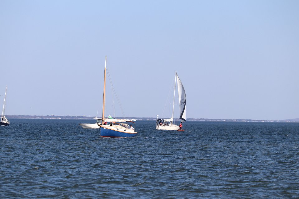 IMG 3800