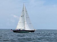 IMG 8883